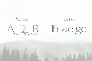 Thin Serif Unique Display Font