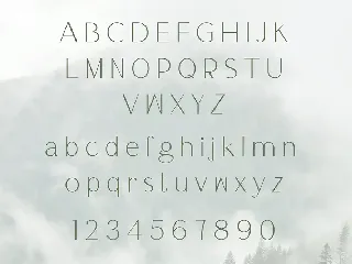 Thin Serif Unique Display Font