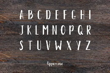 Austra Extended Brush Font