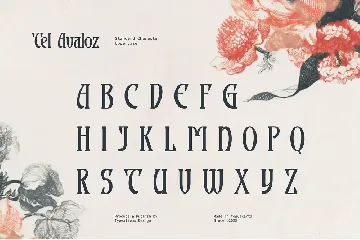 Tel Avaloz font