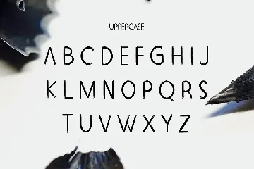 Decorative Unique modern Display Font