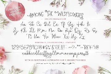 Among The Wildflowers Font Duo