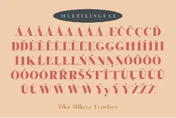 Tika Mikeva - Elegant Serif Typeface font