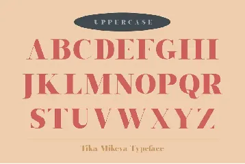 Tika Mikeva - Elegant Serif Typeface font