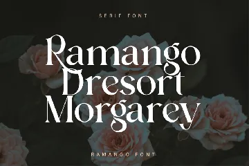 Modern Elegant Serif Font