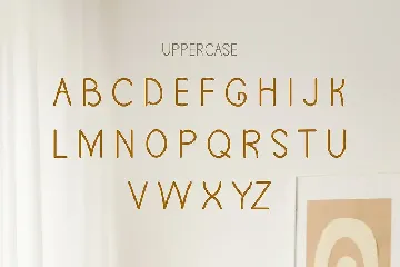 Unique Hand Written Modern Display Font