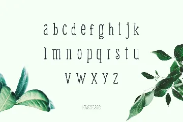 Weem Hand Lettered Font