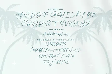 Fasifik Capture Modern Signature Font