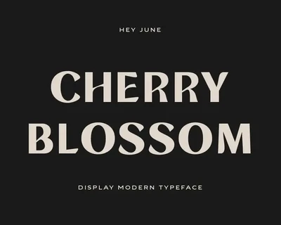 Rustea Display Typeface font