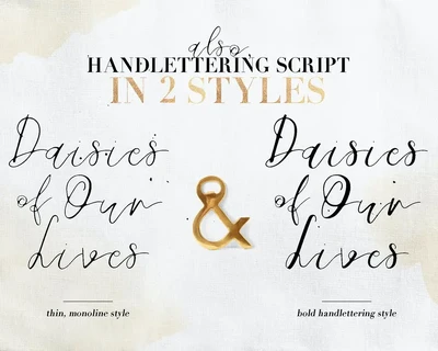 Daisies of Our Lives font