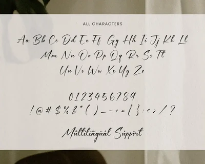 Houston Journey Handwritten Script Font TT