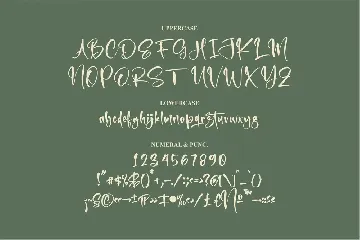 Ballinest Modern Signature Font