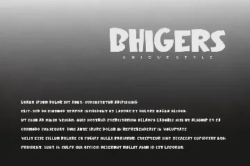 Bhigers - Display Font