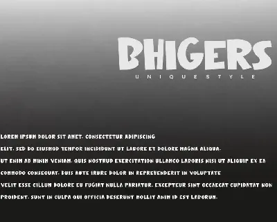 Bhigers - Display Font