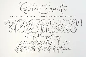 Enter Sasmittha font