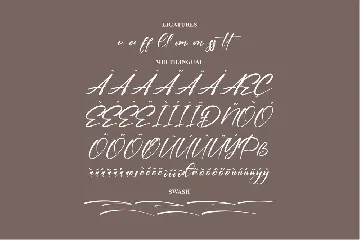 Holdiger Modern Signature Font