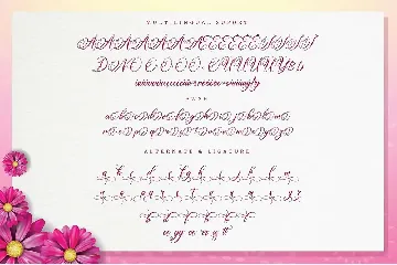 Amertha_a modern calligraphy font