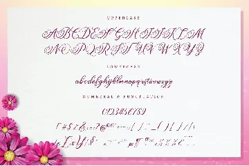 Amertha_a modern calligraphy font