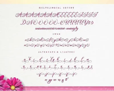 Amertha_a modern calligraphy font