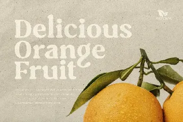 Caught - Unique Vintage Serif Font