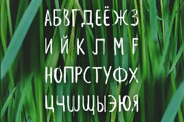 Leafy Extended Brush Font