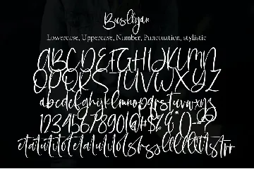 Busllyan font