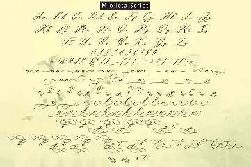 Miolleta Script font