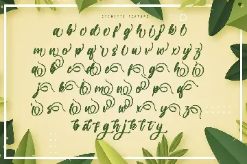 Vaglast - Modern Script Font