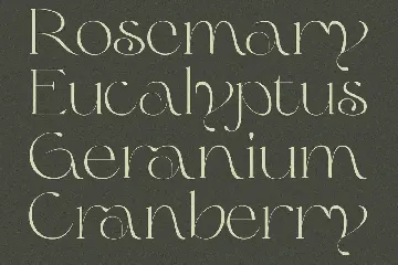 Olive & Citrus - Modern Serif font