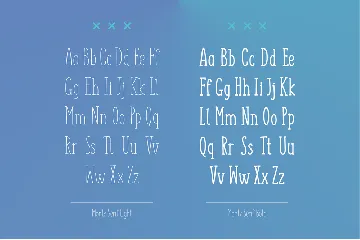 Monly Extended Font