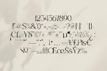 Badoga Modern Serif Font