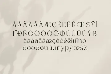 Badoga Modern Serif Font
