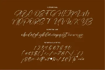 Amatera Hours Modern Signature Font