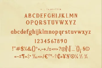 Vejlikan A Modern Serif Font