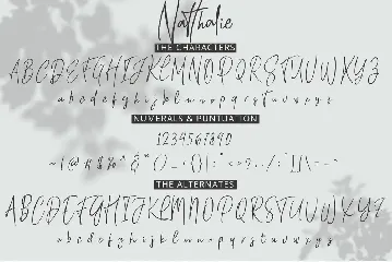 Natthalie Signature font