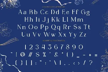 Dudley Castle - Hand Written Script Font