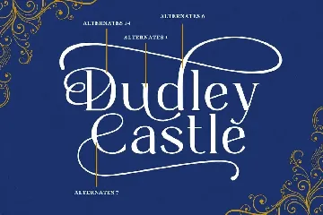 Dudley Castle - Hand Written Script Font