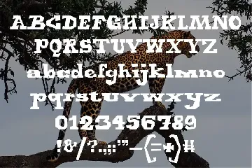 Jaguar - Display Font