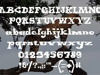 Jaguar - Display Font