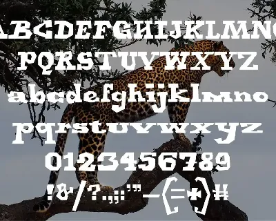 Jaguar - Display Font