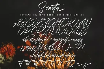 Soneta font