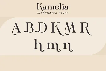 Luxury Modern Serif Font