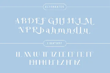 Modern Beautiful Serif Font