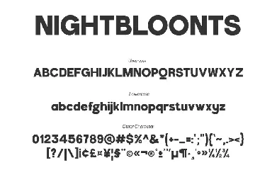 Nightboonts - Display Font