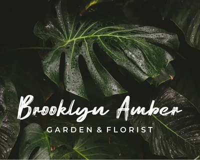 AMR Ematodas font