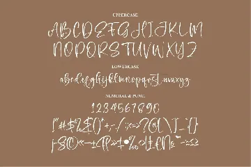 Ronatesla Sintera Modern Handwritten Font