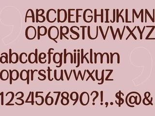 Snappy Dresser font