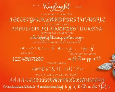 KAYLEIGHT Script font