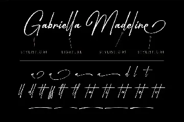 Bradley Jermaine - Elegant Signature Script font
