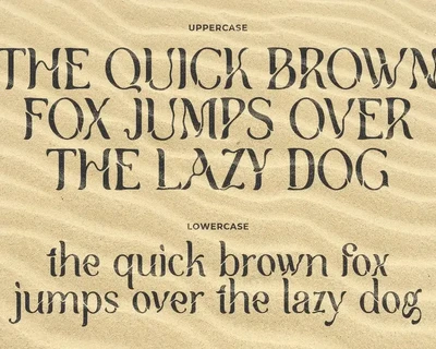 Brooklyn Display Stencil Serif font